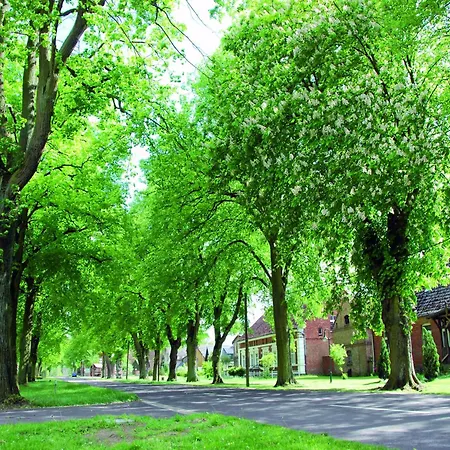 Ruhiges Reihenhaus Mit Wlan In Am Mueritzsee * Buchholz (Mecklenburg-Vorpommern)